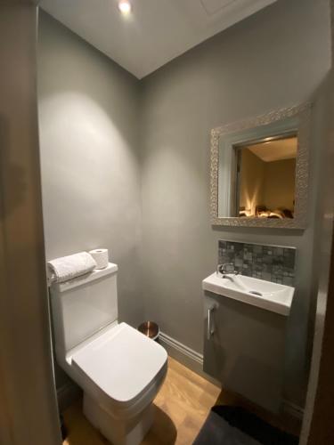 a bathroom with a white toilet and a sink at The Etherley - Zillo in Bishop Auckland