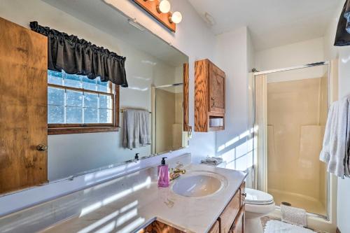 a bathroom with a sink and a toilet and a mirror at Cozy Vacation Rental Home Near Watauga Lake! in Elizabethton