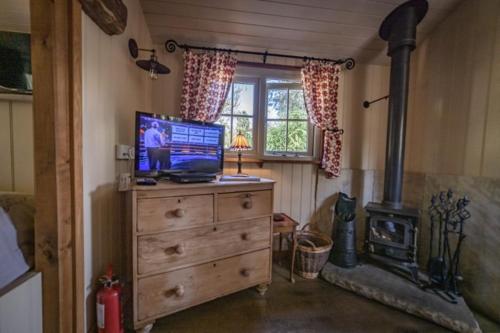 uma sala de estar com televisão numa cómoda com fogão em Silver Dollar em Watton