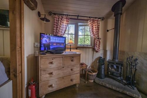 a living room with a television on a dresser with a stove at Silver Dollar in Watton