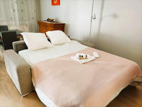 克萊蒙費朗的住宿－Le Monjuzet - Joli T2 avec petite terrasse confort, proche du centre ville，一间卧室配有一张床,上面放着一个食物托盘