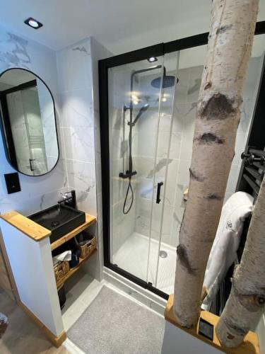 une salle de bain avec une douche avec un lavabo et un miroir dans l'établissement T2 de charme à Megeve vue panoramique, à Megève