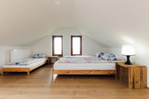 two beds in a room with two windows at Rose Hip Hill Guesthouse in Valea Tîrnei