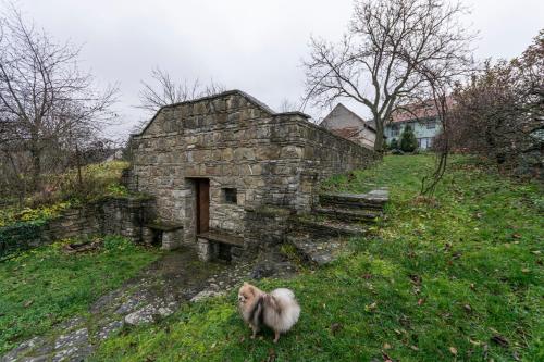 a monkey standing next to an old stone building at Penzion Blatnička in Blatnička