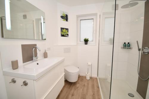 La salle de bains est pourvue d'un lavabo, de toilettes et d'une douche. dans l'établissement WINETIME - modern - für 5 - idyllisch - Netflix, à Roschbach