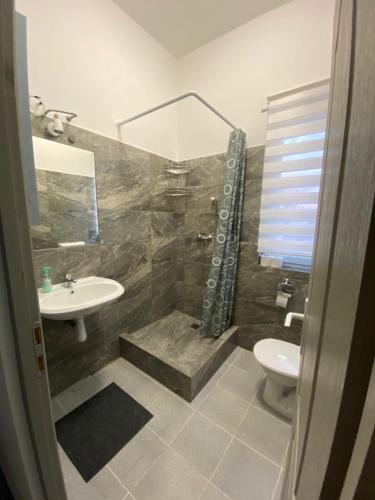 a bathroom with a shower and a sink and a toilet at Tocc Apartman in Gyál