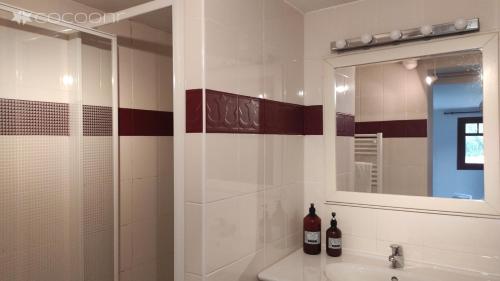 une salle de bain avec une douche, un lavabo et un miroir dans l'établissement VILLA BAÏTA - Maison avec jardin proche de la Dune du Pyla, à La Teste-de-Buch