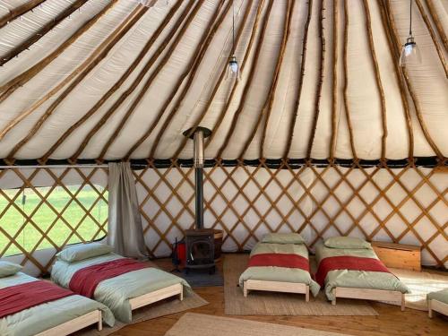 a room with two beds in a yurt at Redwood - the BIG yurt in Fernhurst