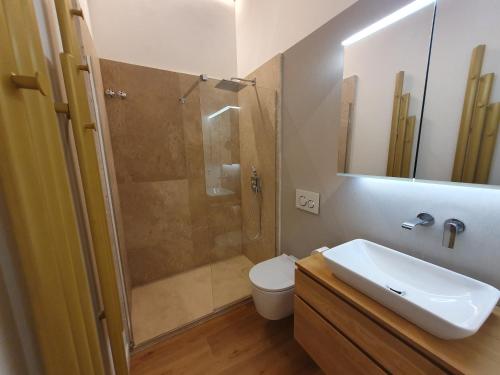 a bathroom with a shower and a toilet and a sink at Duplex Luxury Giralda with terrace in Seville
