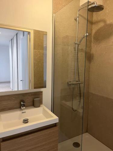 une salle de bain avec une douche, un lavabo et un miroir dans l'établissement Appt Hyper Centre Le Touquet à 50 m de la plage, à Le Touquet-Paris-Plage
