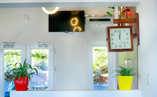 a clock on a wall next to two potted plants at 10 Degrees North By Avni Holidays in Idukki