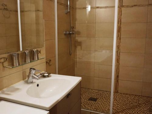 a bathroom with a sink and a shower at 3 pièces 60m², 8 pers, proche pistes, animaux acceptés - FR-1-636-119 in Orcières
