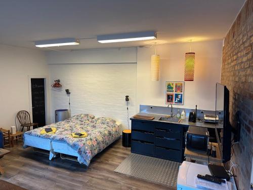 ein Schlafzimmer mit einem Bett und einem Waschbecken darin in der Unterkunft Holstebro Sky Studio in Holstebro