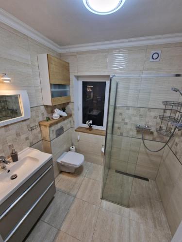 a bathroom with a shower and a toilet and a sink at Apartamenty Polanki 2 in Łeba