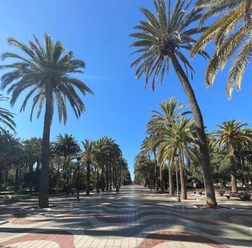 a row of palm trees on a street at Apartamento céntrico con vistas in Melilla