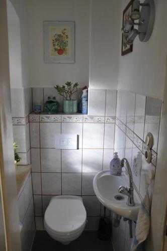 La salle de bains est pourvue de toilettes et d'un lavabo. dans l'établissement Kleine Auszeit, à Plauen