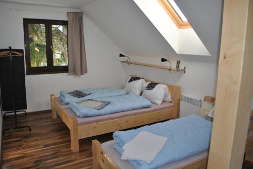 a bedroom with two beds and a skylight at Chalupa Mates Černý důl in Černý Dŭl