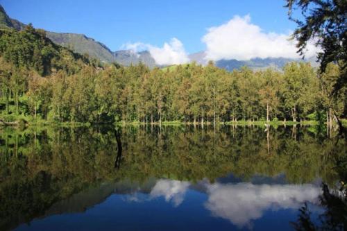 vista su un lago con alberi e montagne di Chalet de la Mare. a Salazie