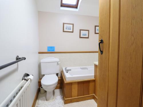 a bathroom with a toilet and a sink at Ynys in Dyffryn