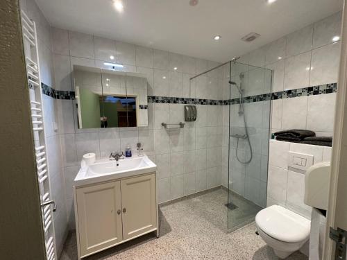 a bathroom with a sink and a shower and a toilet at Het Kraaienest in Zaandam