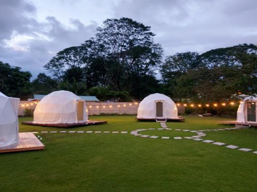 eine Gruppe von Zelten auf einem Feld mit Beleuchtung in der Unterkunft Yubarta Lodge in Uvita