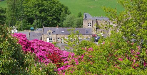 a group of flowers in front of a house at Blenkinsopp Castle Inn in Greenhead