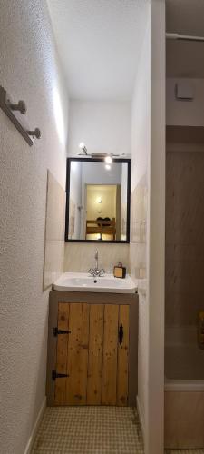bagno con lavandino e specchio di Appartement chaleureux, Gourette Pieds des pistes a Gourette