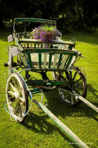 a green cart with flowers on it sitting in the grass at Sodybos Narūnas namelis dviems in Jonava