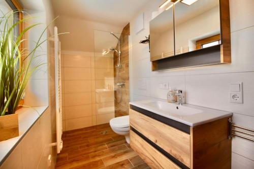 a bathroom with a sink and a toilet at Chalet Mama in Pruggern