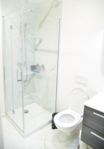 une salle de bain avec douche et toilettes dans l'établissement Appartment Montorgueil/Châtelet, à Paris