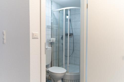 a bathroom with a toilet and a shower at FeWo Bensing in Forchheim