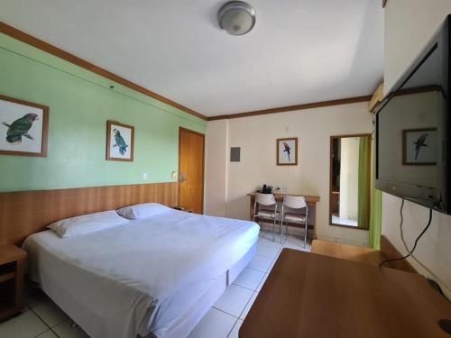 1 dormitorio con 1 cama y TV de pantalla plana en Flet Golden Dophin, en Caldas Novas