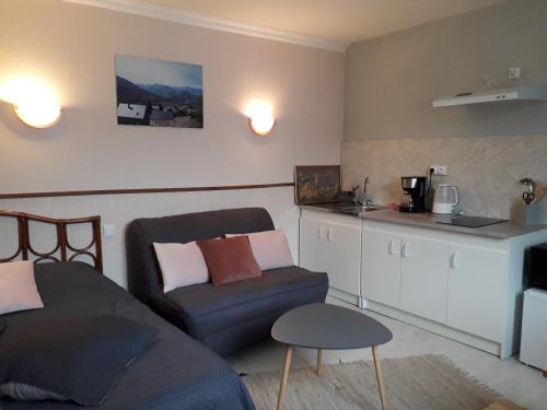 un salon avec un canapé et une chaise dans l'établissement Studio Vue Val d'Azun dans Villa historique 