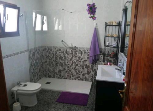 een badkamer met toilet en wastafel bij Casa Rural Yeyo en el cráter del volcán in Tinguatón