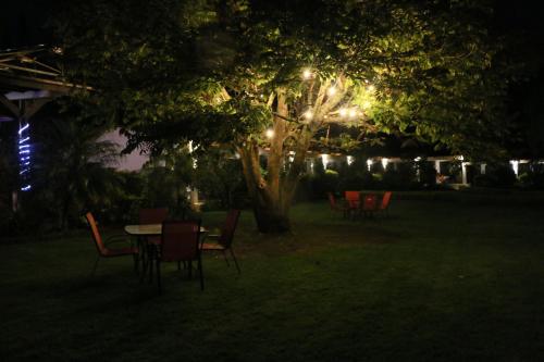 a table and chairs under a tree at night at Posada La Presa in Tepoztlán