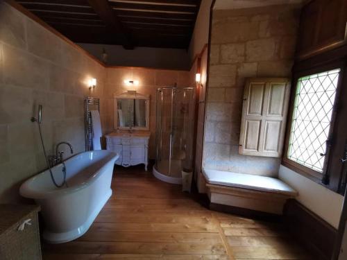 y baño con bañera, ducha y lavamanos. en Château de Clérans en Saint-Léon-sur-Vézère