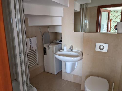 a small bathroom with a sink and a toilet at Minaret Apartman in Eger