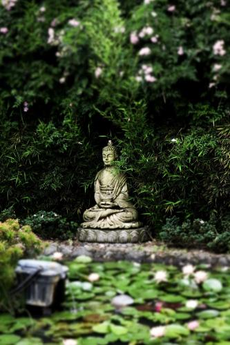 a statue sitting in a garden next to a pond at Posada La Presa in Tepoztlán