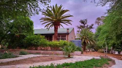 a palm tree in front of a house at Ibenstein Safaris in Dordabis