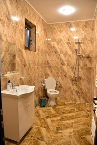 a bathroom with a toilet and a sink at Къщи за гости НЕСИ in Leshten