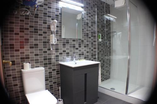 a bathroom with a toilet and a sink and a shower at Hostal Falfes in Madrid