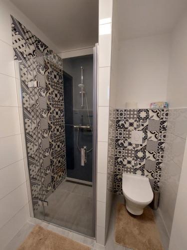 a bathroom with a shower and a toilet in it at Erzsébet Vendégház Csesztreg in Csesztreg