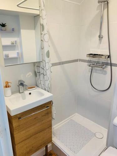 une petite salle de bain avec un lavabo et une douche dans l'établissement Petit cocon à 2 pas de la cathédrale&hortillonages, à Amiens