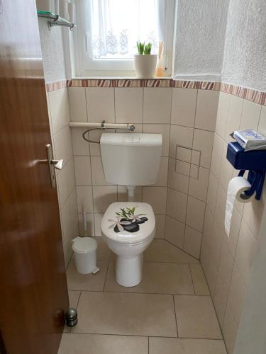 a bathroom with a toilet with a plant on it at MaRe FeWo in Hettingen