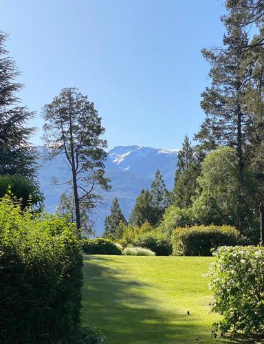 a green field with trees and mountains in the background at Altos del Sur Cabañas de Montaña in El Bolsón