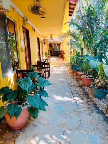 a patio with potted plants and tables in a building at Hotel Aurora in Montezuma