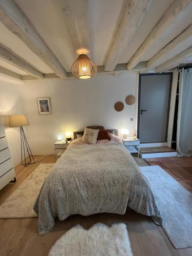 een slaapkamer met een groot bed in een kamer bij Good Vibes in Grenoble