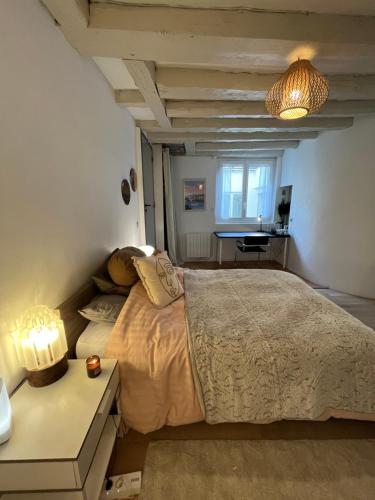 um quarto com uma cama, uma secretária e uma janela em Good Vibes em Grenoble