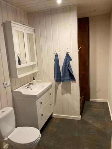 Lauku māja Akmeņkalni في Daugmale: حمام به مرحاض أبيض ومغسلة