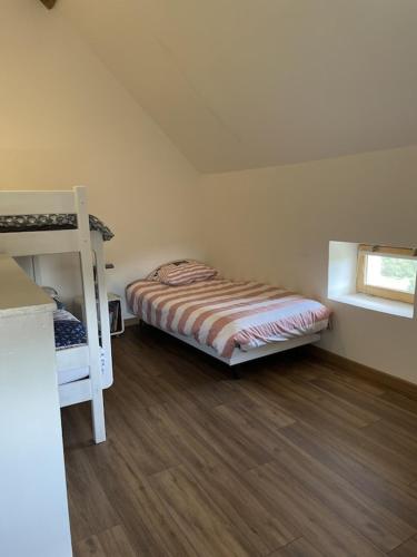 a bedroom with a bunk bed and a ladder at Gîte le Ch'armançon in Montigny-sur-Armançon